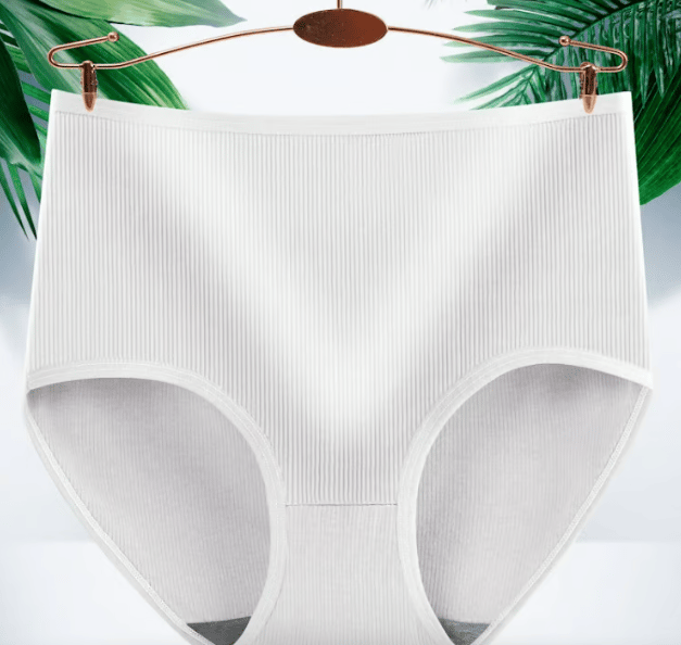 🔥Women's high waist hip-lifting panties