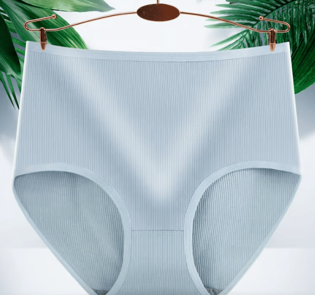 🔥Women's high waist hip-lifting panties