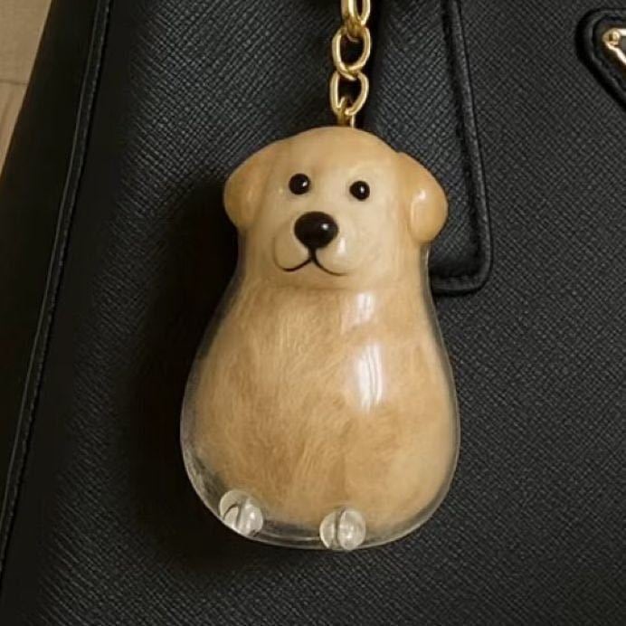 Flash Sale Dog Hair Keepsake Keychain - Memory Capsule Pendant